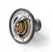 THERMOSTAT:S0401-6619